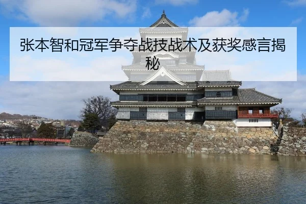张本智和冠军争夺战技战术及获奖感言揭秘