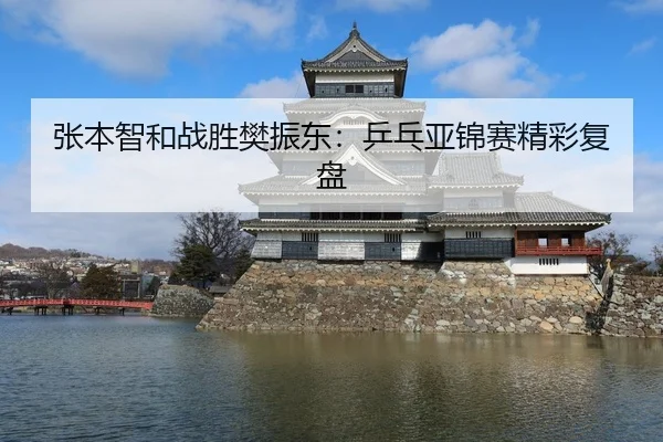张本智和战胜樊振东：乒乓亚锦赛精彩复盘